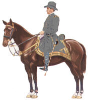Confederate Mounted Officer